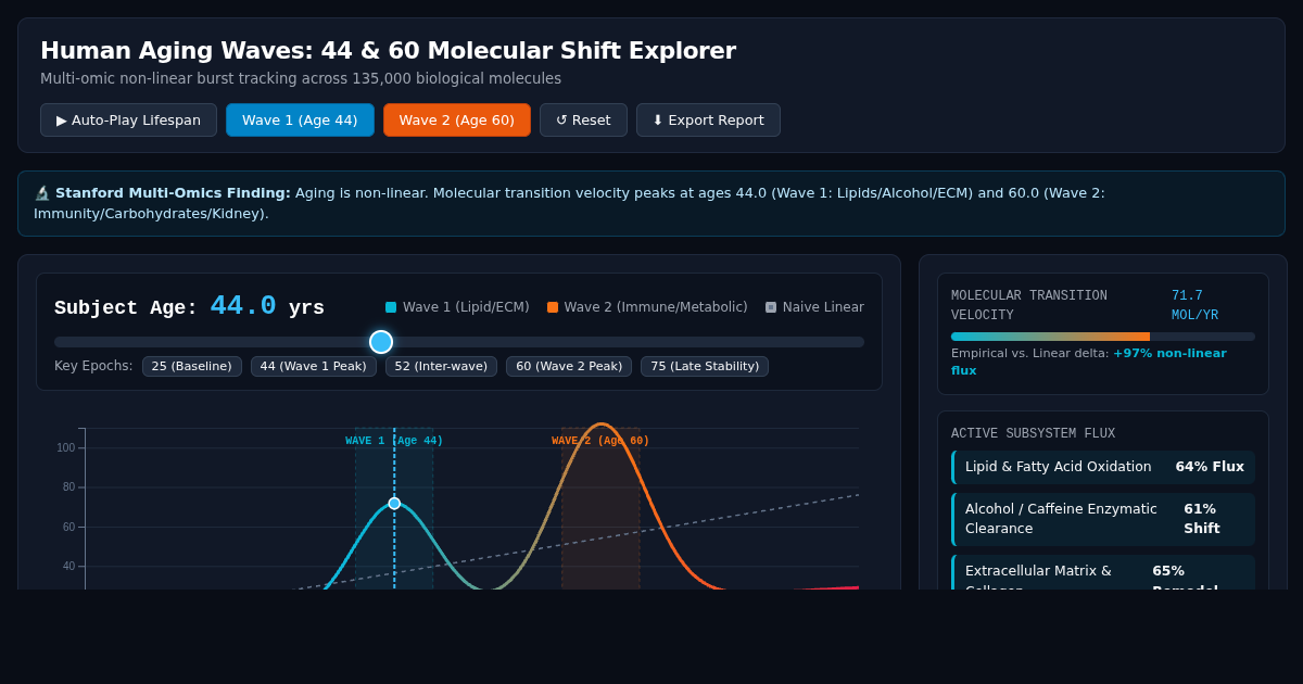 Human Aging Waves: The 44 & 60 Molecular Shift Explorer preview
