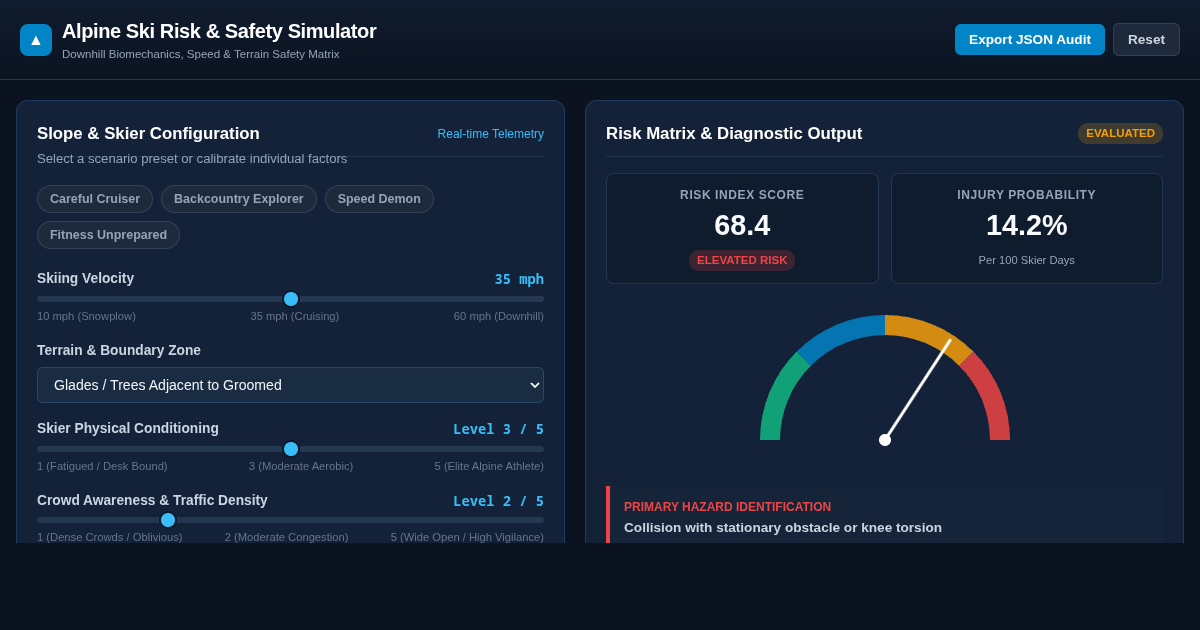 Alpine Ski Risk & Safety Simulator preview
