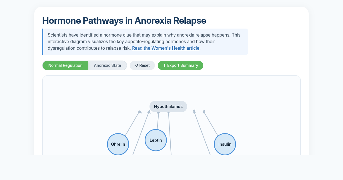 Hormone Pathways in Anorexia Relapse: Interactive Explainer preview