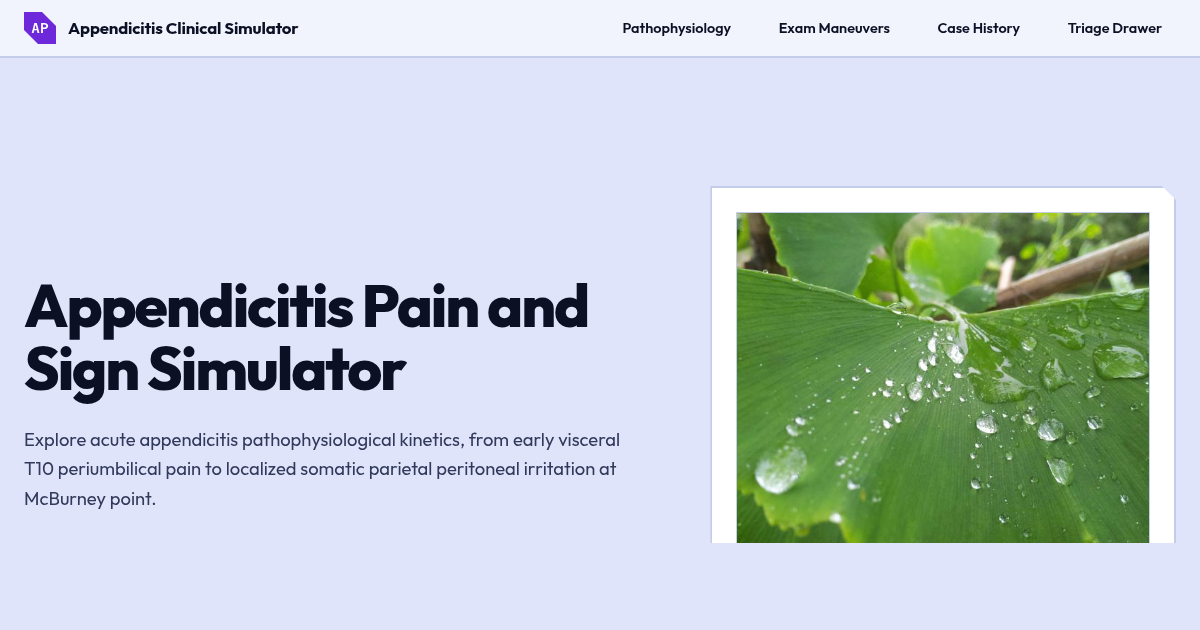 Appendicitis Pain Progression & Clinical Sign Simulator preview