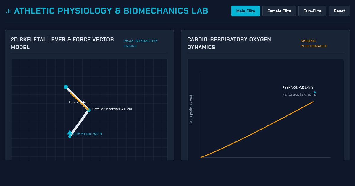 Athletic Physiology & Biomechanics Simulator preview