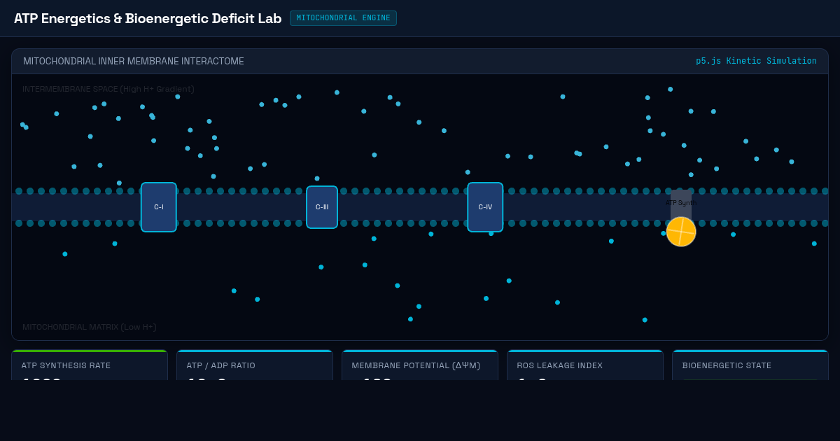 ATP Energetics & Bioenergetic Deficit Lab preview