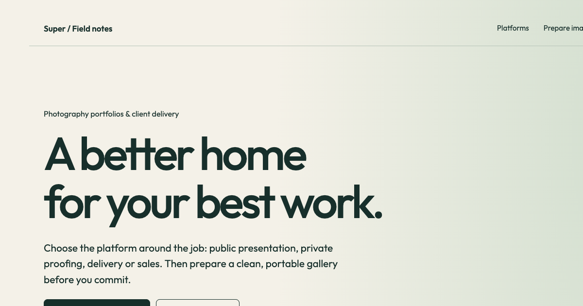 Photography portfolio platform comparison preview
