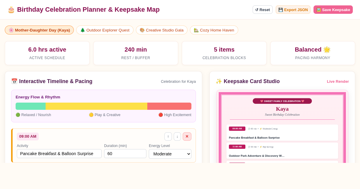 Birthday Celebration Planner & Keepsake Map preview
