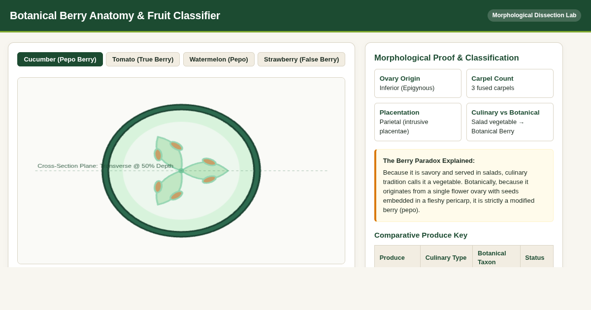 Botanical Berry Anatomy & Fruit Classifier preview
