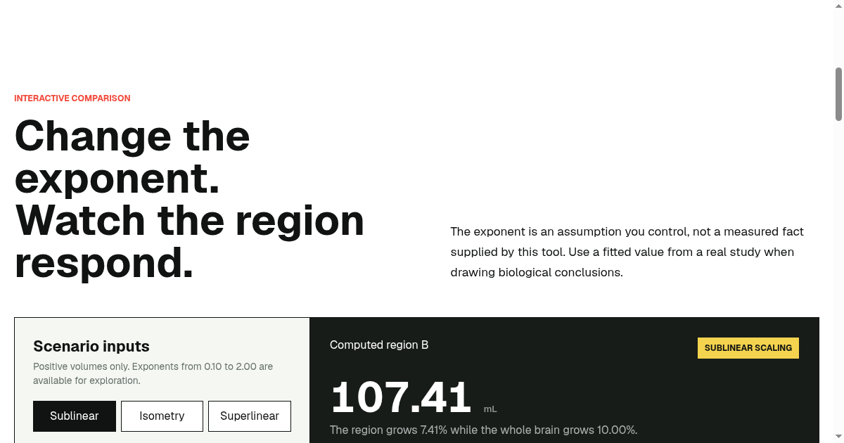 Brain Allometry Lab | Compare Regional Scaling preview