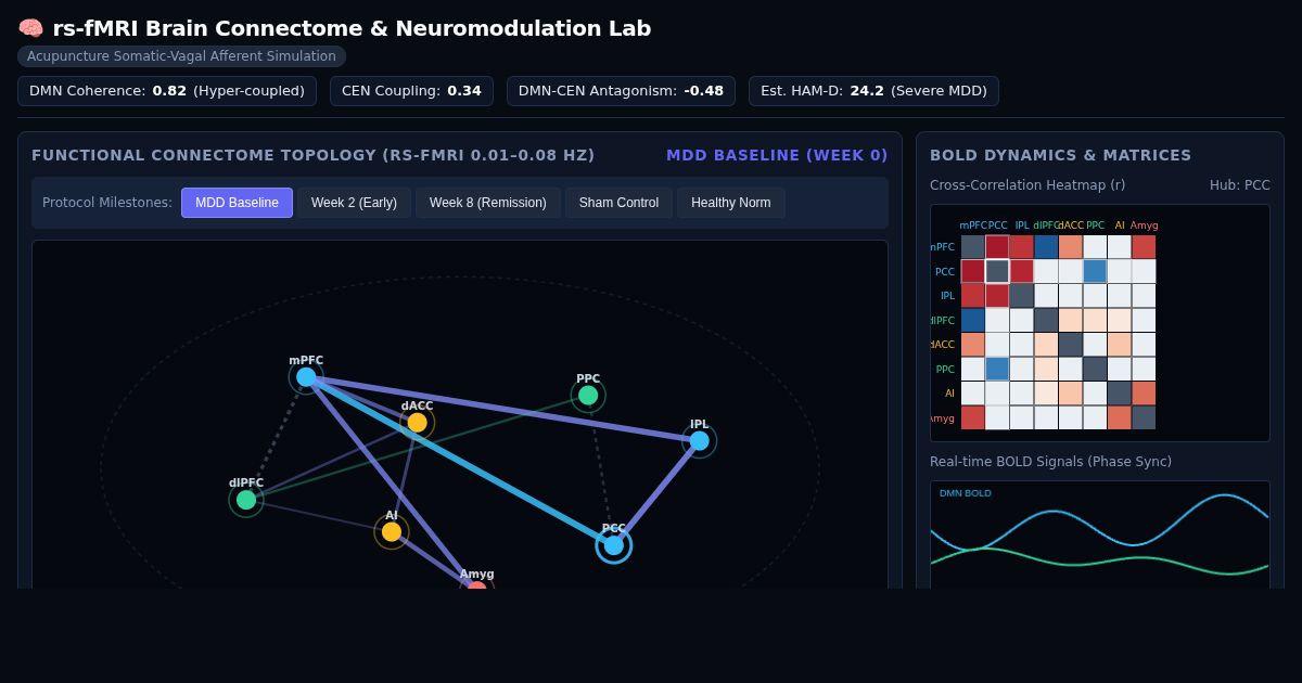 Brain Connectome & Depression Neuromodulation Simulator preview