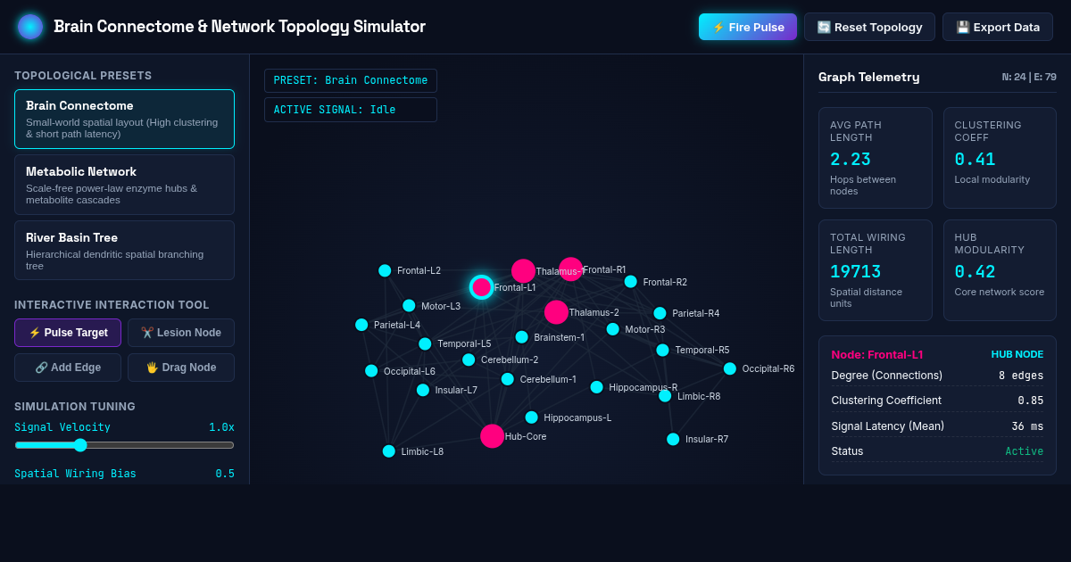 Brain Connectome & Network Topology Simulator preview