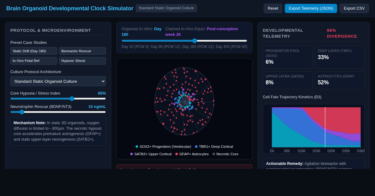 Brain Organoid Developmental Clock Simulator preview