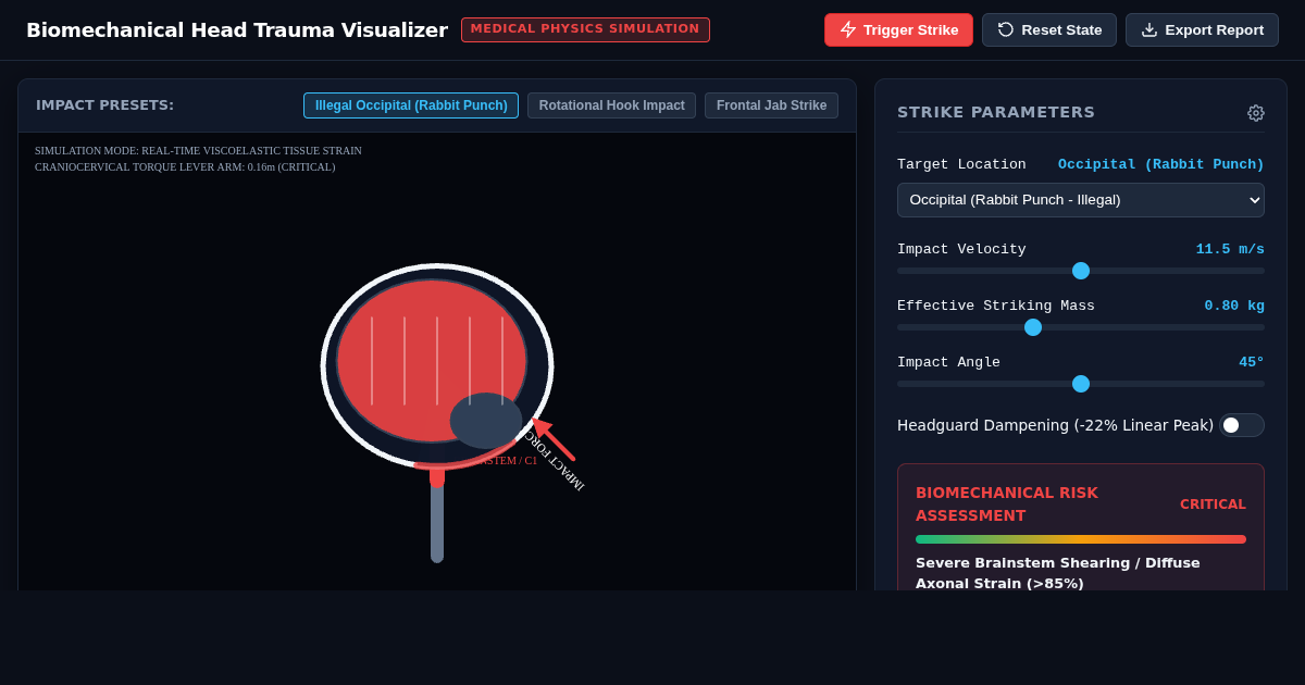 Boxing Head Impact & Traumatic Brain Injury Biomechanics Visualizer preview
