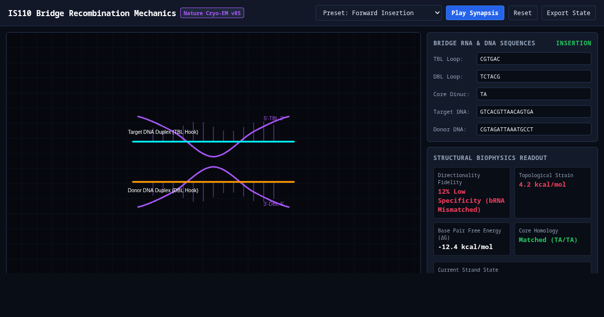 Bridge RNA Recombination Mechanics Simulator preview
