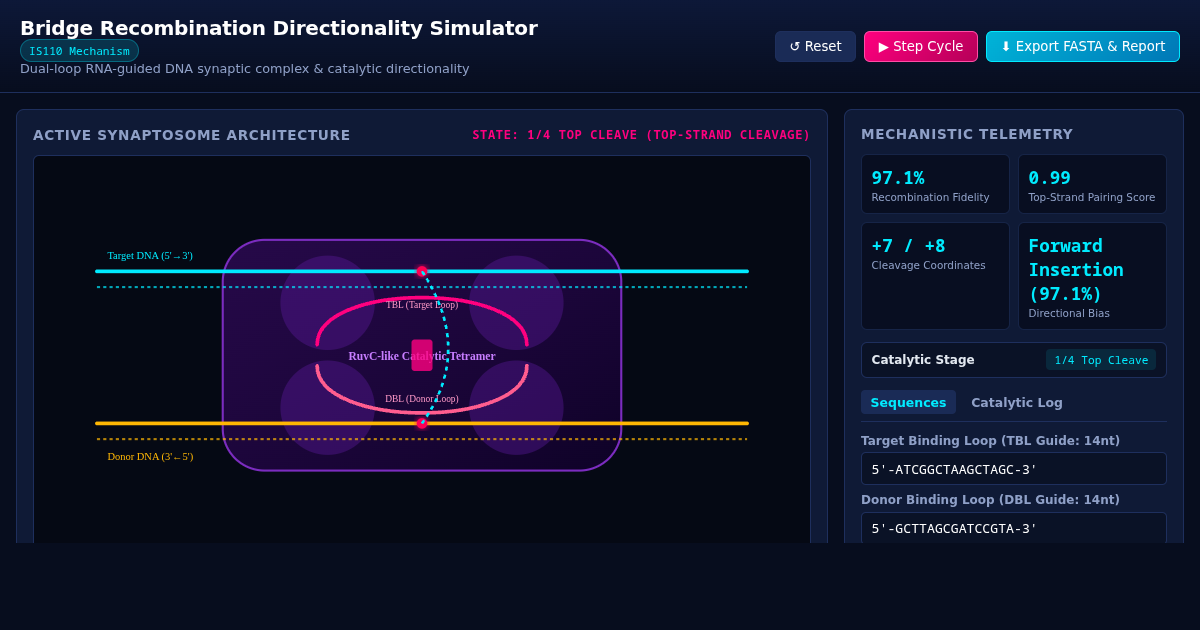 Bridge Recombination Directionality Simulator preview