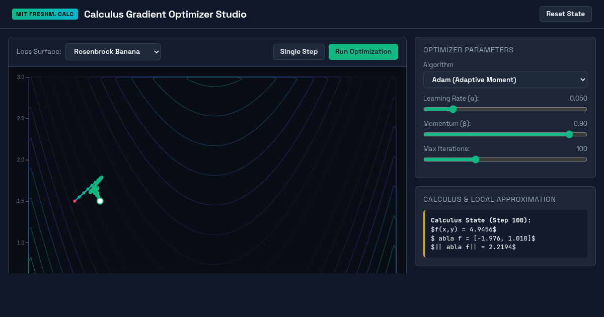 Calculus Gradient Optimizer Studio preview
