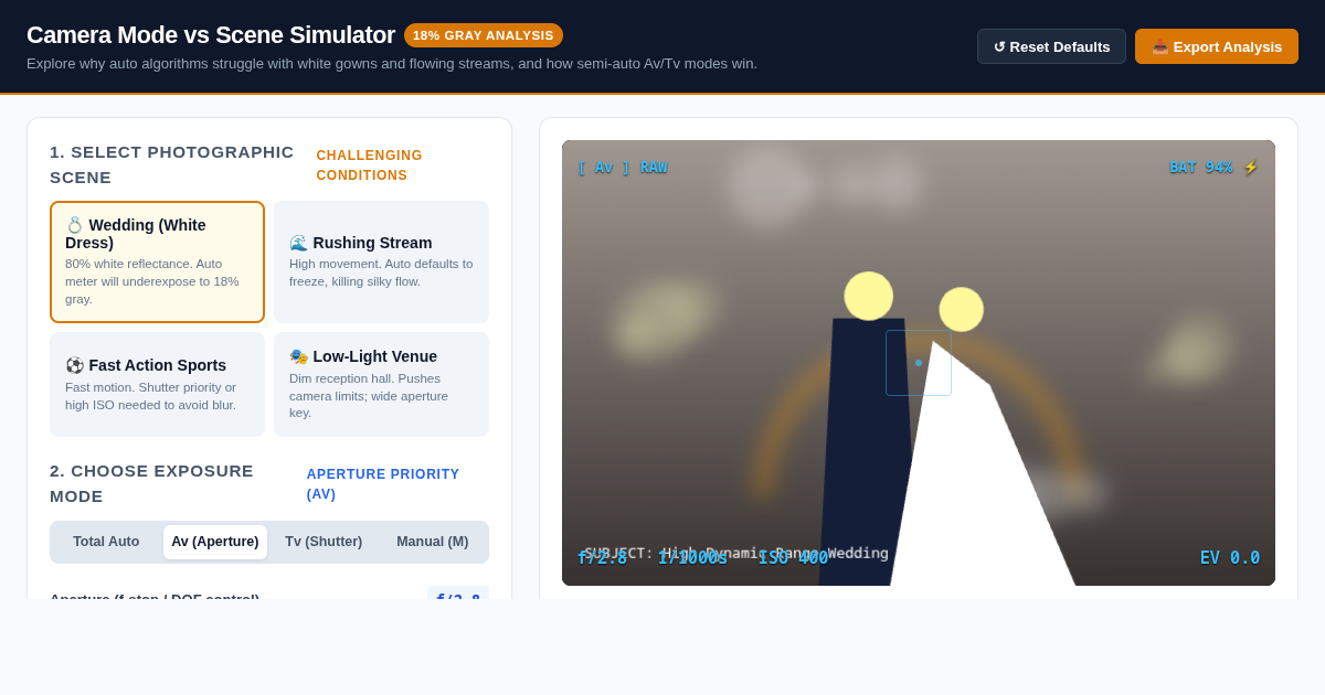 Camera Mode vs Scene Simulator — 18% Gray & Exposure Engine preview