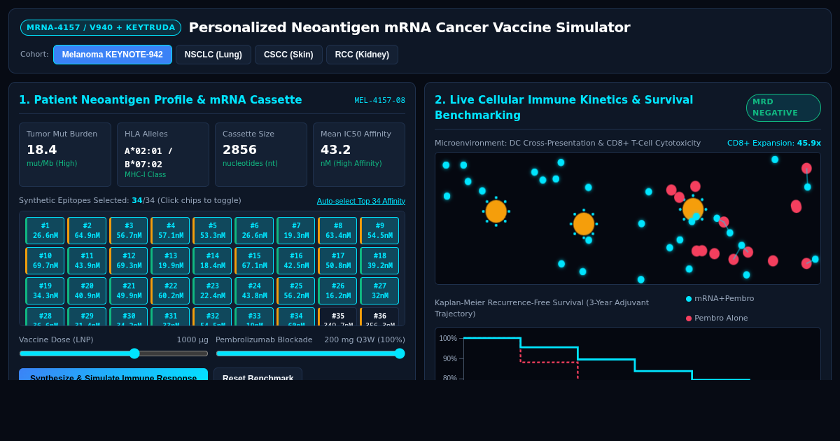Personalized Neoantigen mRNA Cancer Vaccine Simulator preview