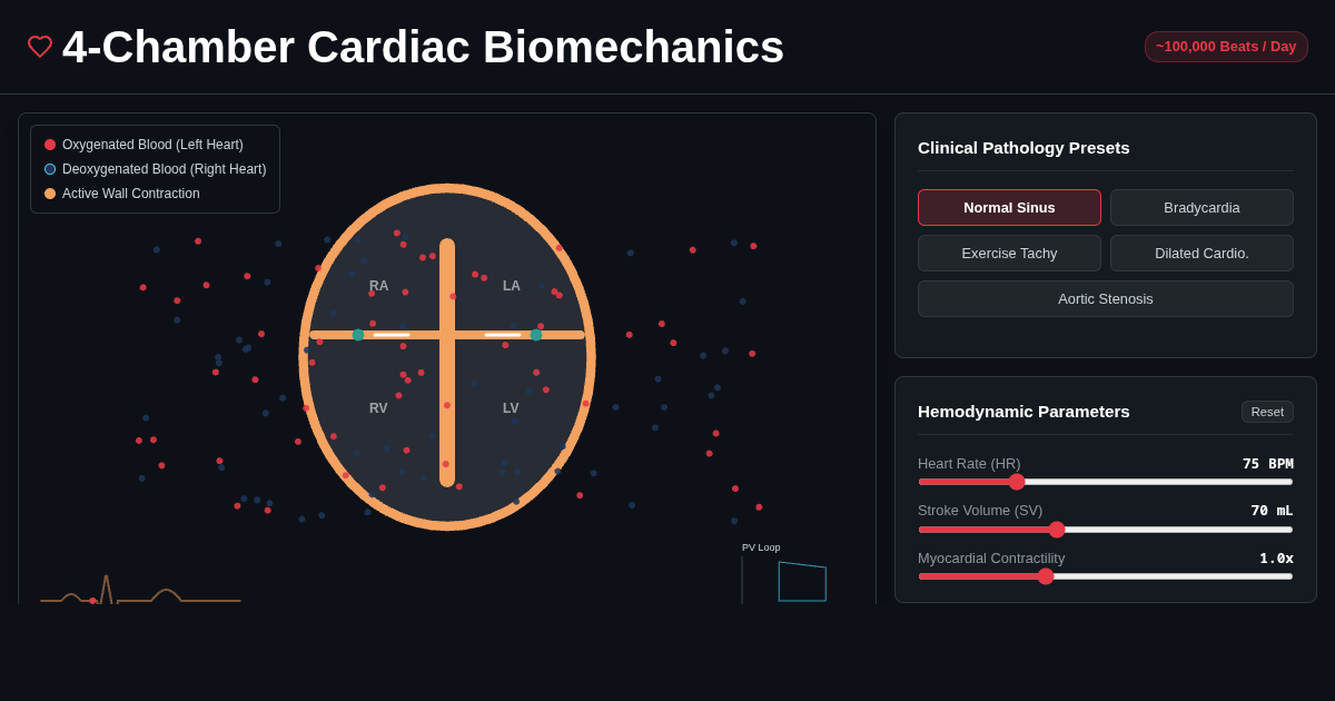 Cardiac Biomechanics & 4-Chamber Contraction Visualizer preview