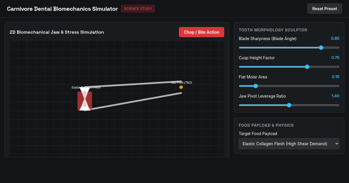 Carnivore Dental Biomechanics Tradeoff Simulator preview