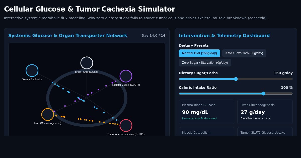 Cellular Glucose & Tumor Cachexia Simulator preview