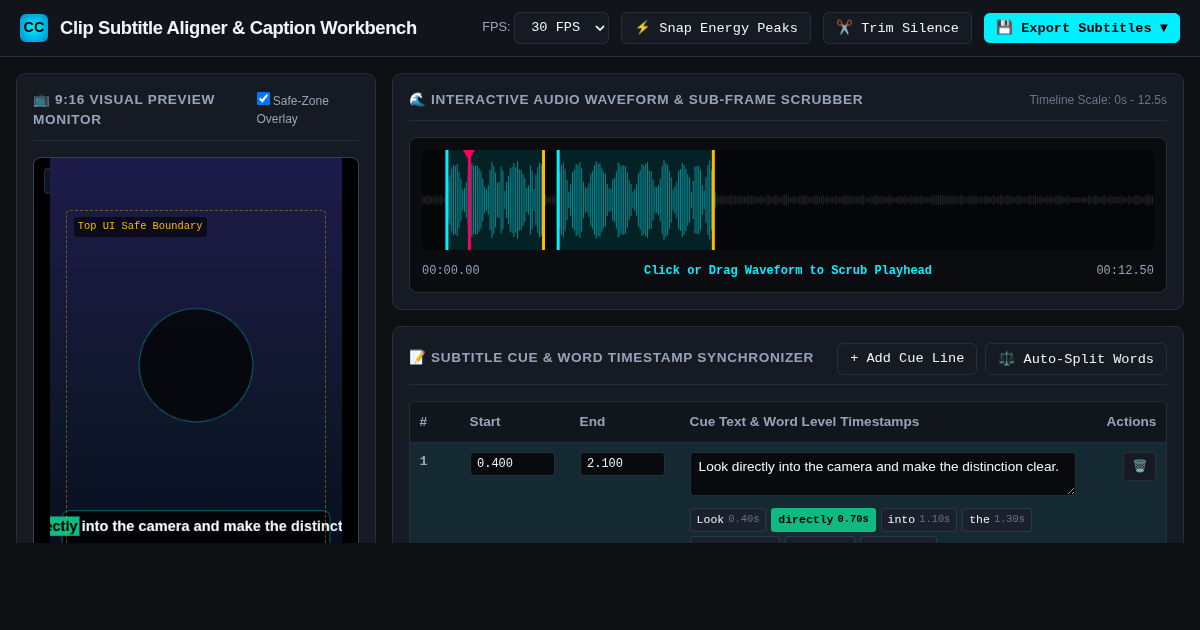 Clip Subtitle Aligner & Frame-by-Frame Caption Sync Workbench preview