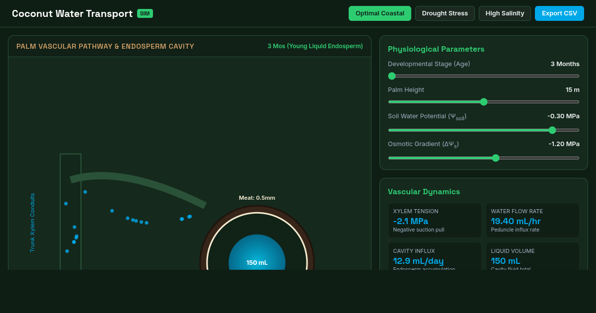 Coconut Water Transport & Endosperm Sim preview