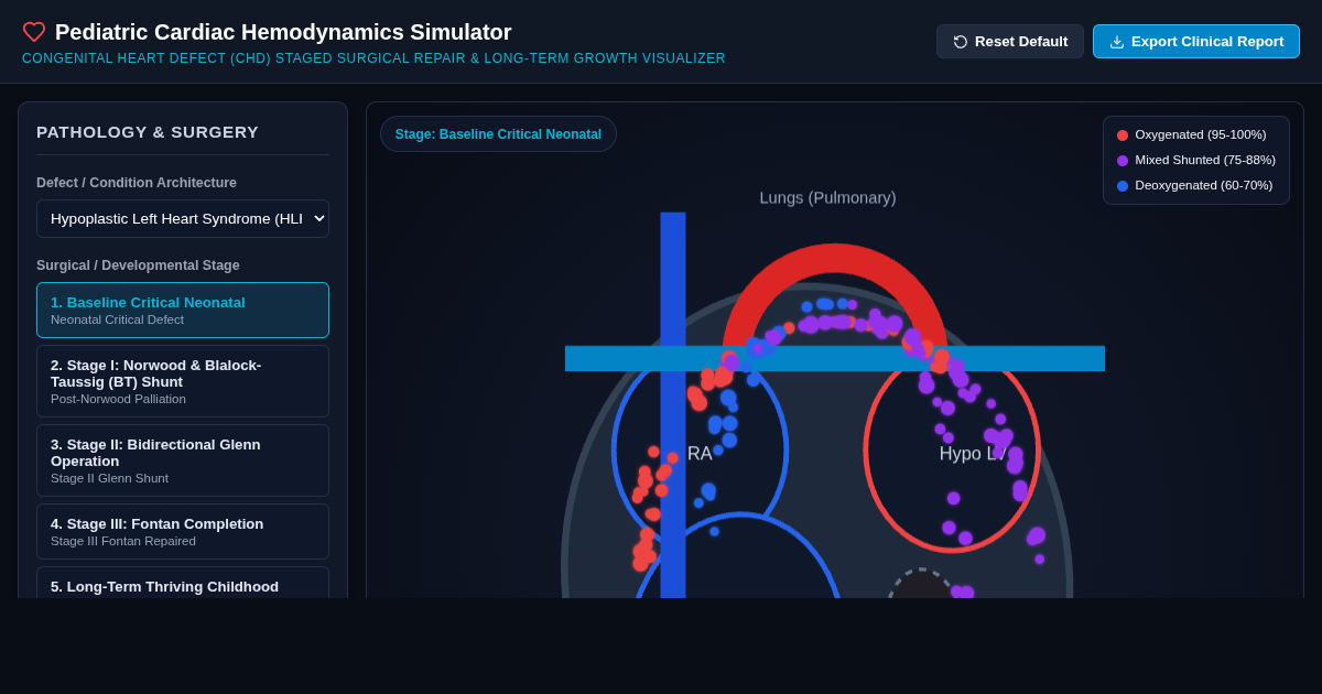 Congenital Heart Defect & Pediatric Surgery Simulator | Staged Repair & Hemodynamics preview