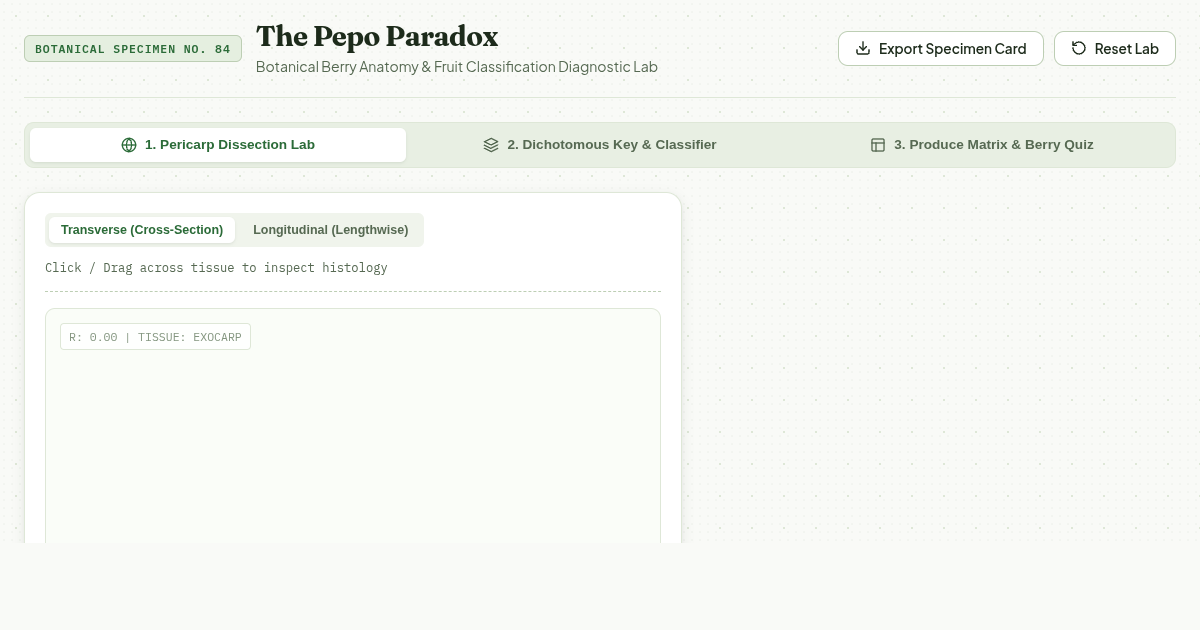 The Pepo Paradox: Botanical Berry Anatomy & Fruit Classifier preview