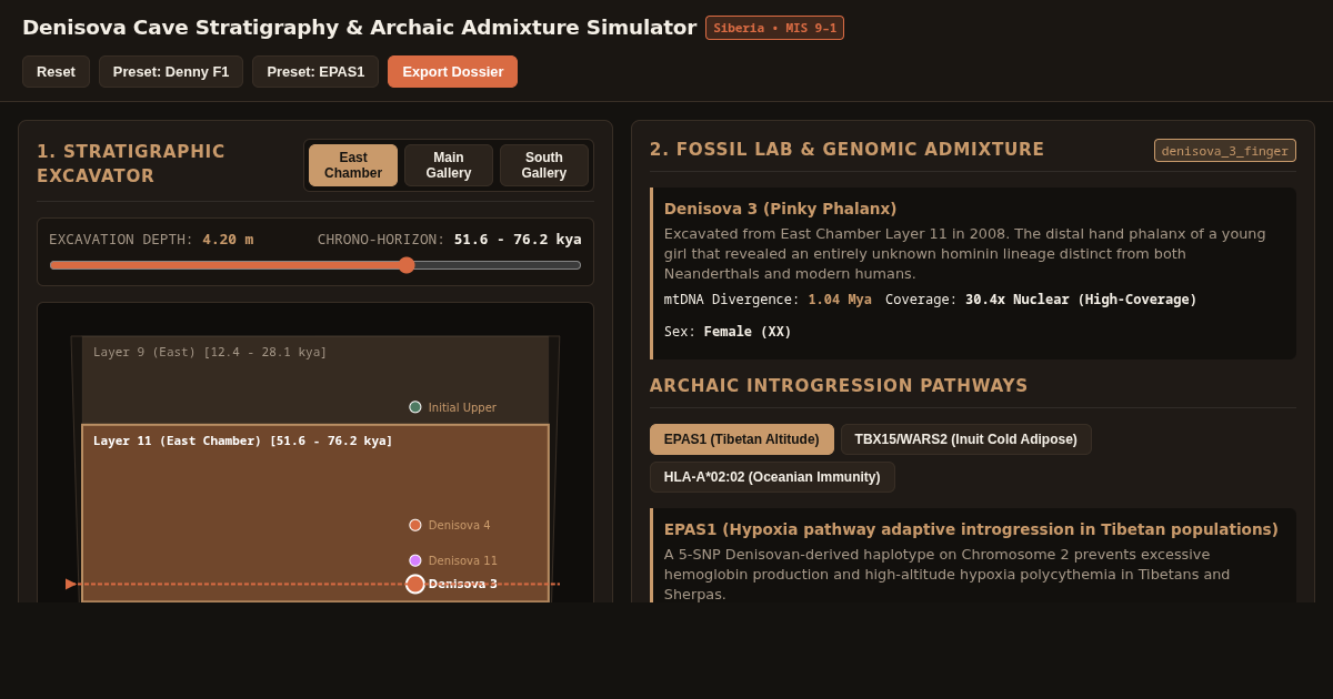 Denisova Cave Stratigraphy & Archaic Admixture Simulator preview