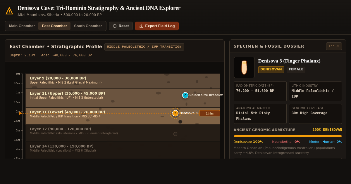 Denisova Cave: Tri-Hominin Stratigraphy & Ancient DNA Explorer preview