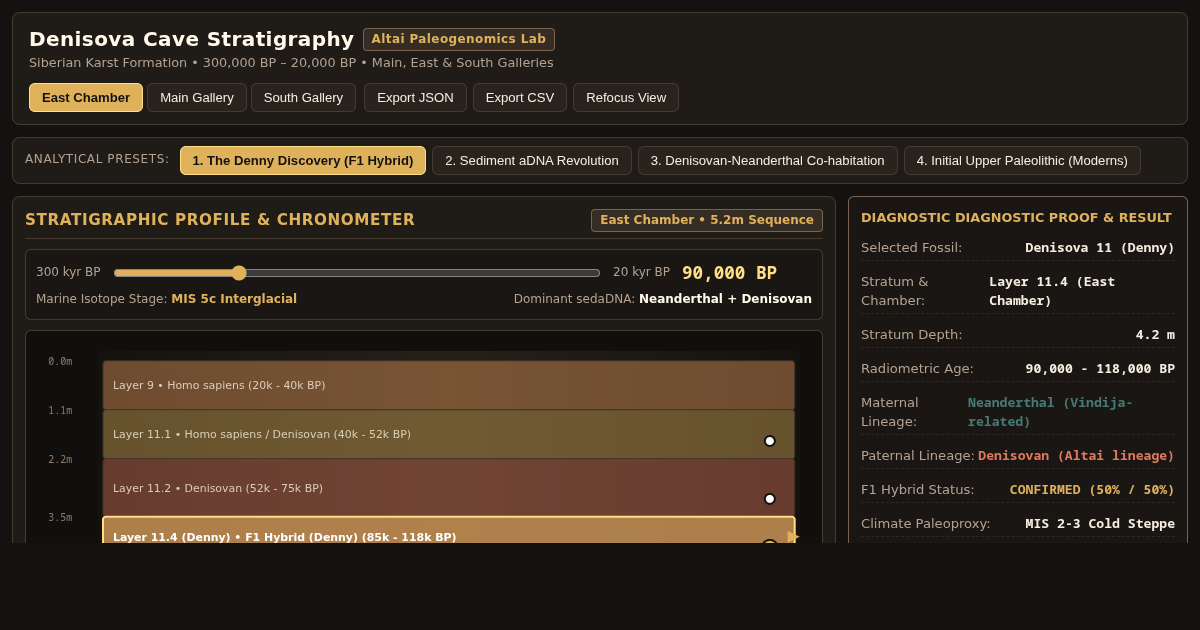 Denisova Cave Stratigraphy & Ancient Hominin Lineage Explorer preview