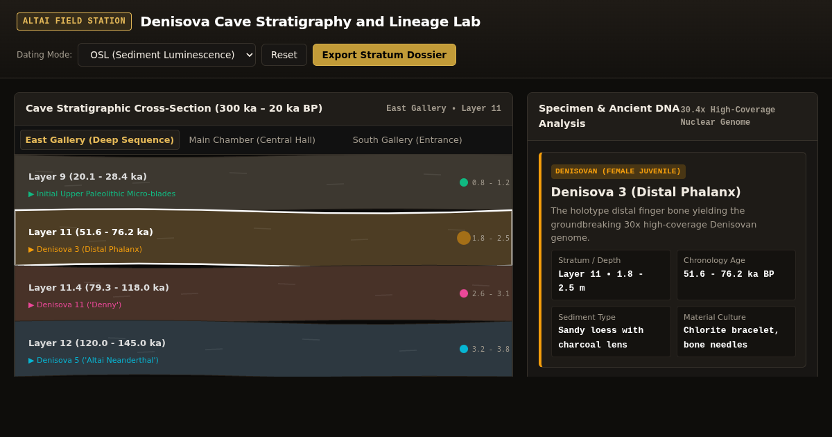 Denisova Cave Stratigraphy and Lineage Lab preview