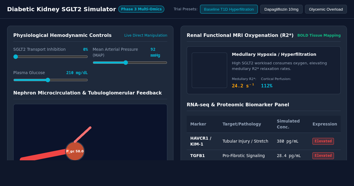 Diabetic Kidney SGLT2 Hemodynamic & Multi-Omics Simulator preview