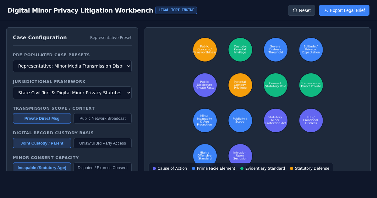 Digital Minor Privacy Litigation Workbench preview