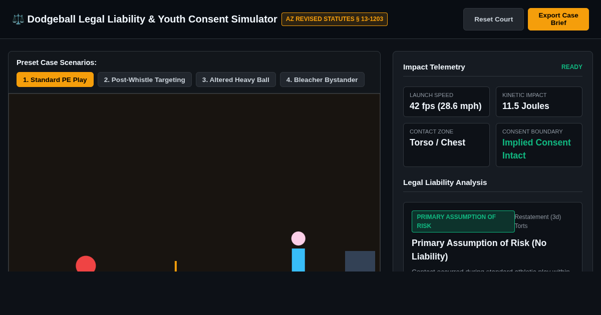 Dodgeball Legal Liability & Youth Sports Consent Simulator preview