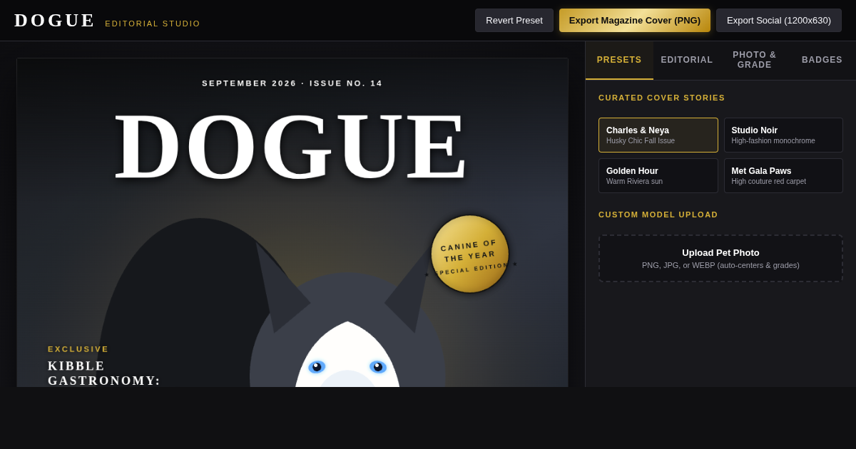 Dogue Magazine Editorial Cover Studio preview