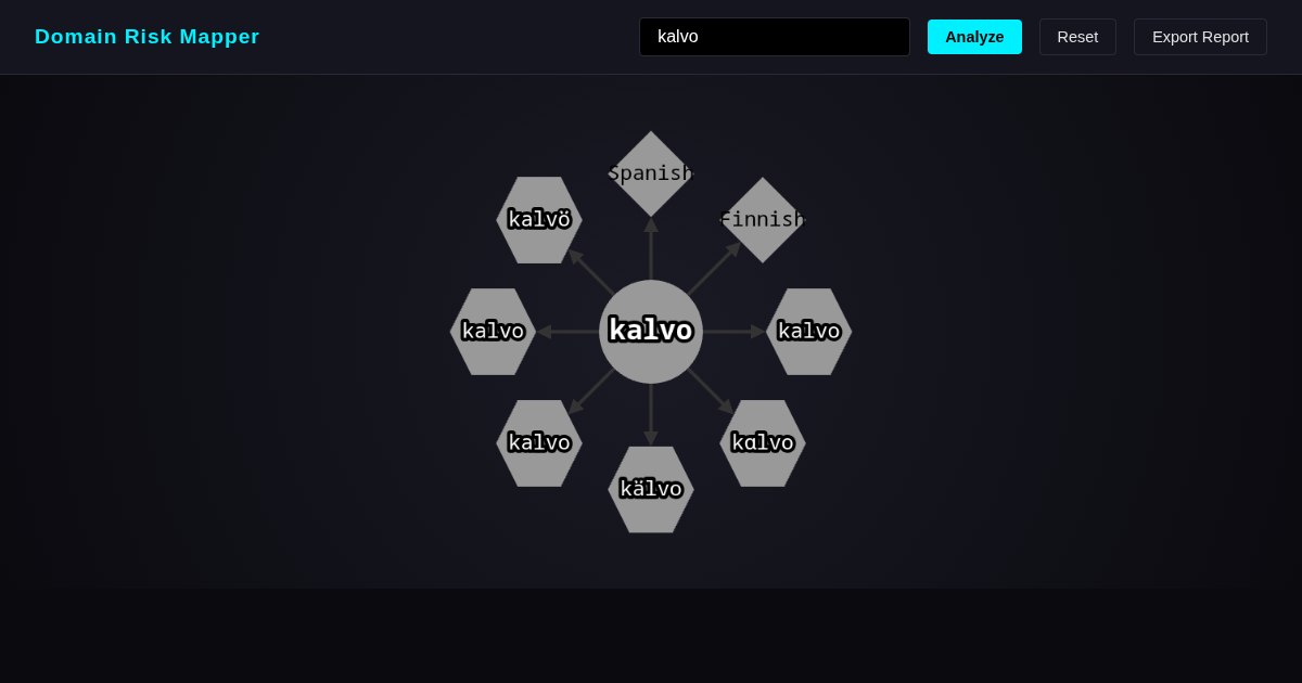 Domain Risk Mapper preview