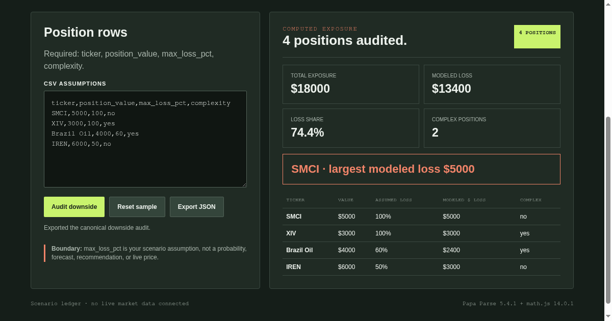 Downside Exposure Auditor preview