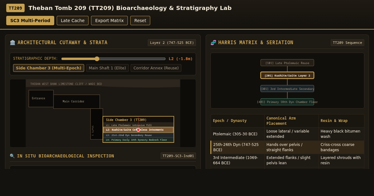 Theban Tomb 209 (TT209) Bioarchaeology & Stratigraphy Lab preview