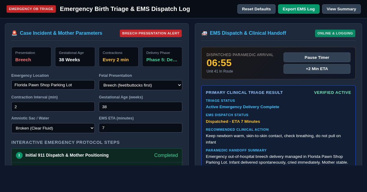 Emergency Birth Triage & EMS Dispatch Log preview