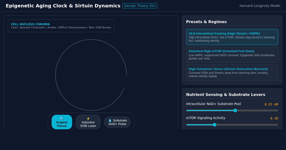 Epigenetic Information Theory of Aging & Sirtuin Dynamics Simulator preview