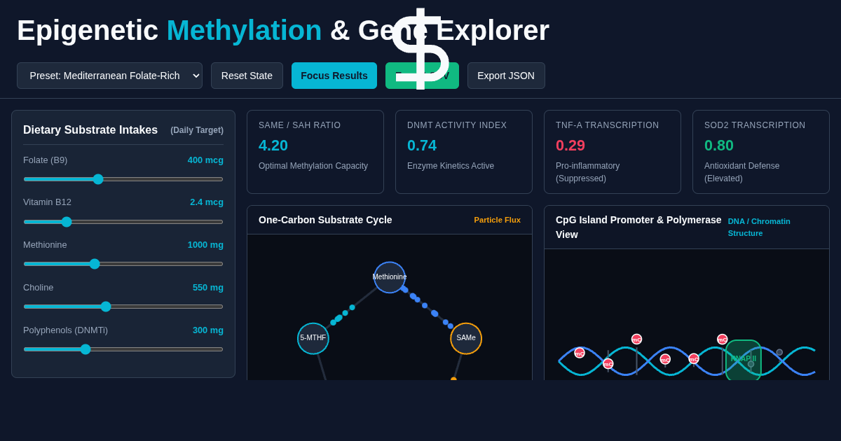 Epigenetic Methylation & Gene Expression Explorer preview