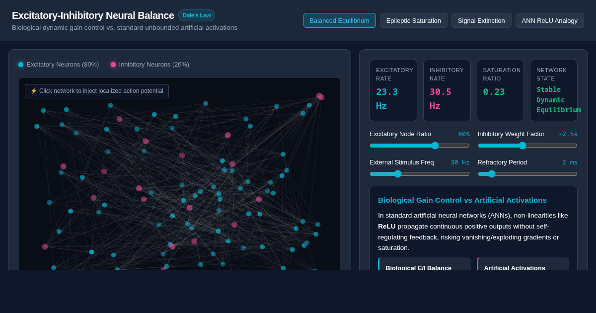 Excitatory-Inhibitory Neural Balance Simulator preview