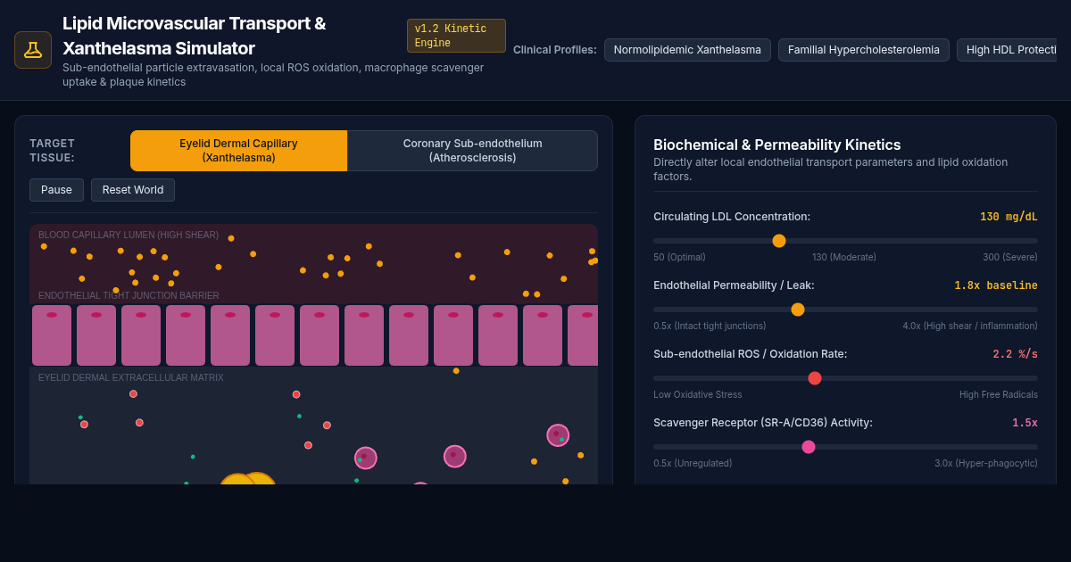 Xanthelasma & Lipid Transport Chemistry Simulator preview