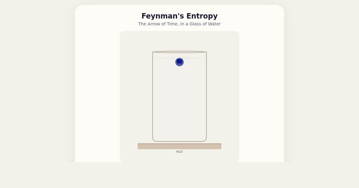 Feynman's Entropy: The Arrow of Time preview