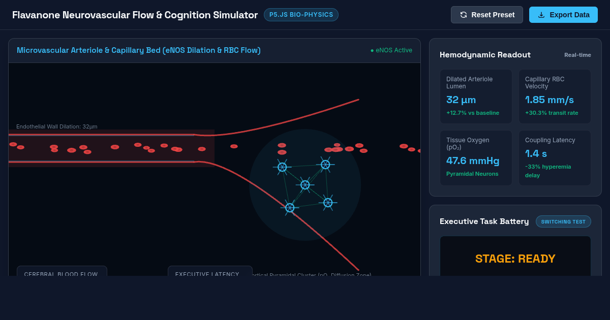 Flavanone Neurovascular Flow & Cognition Simulator preview