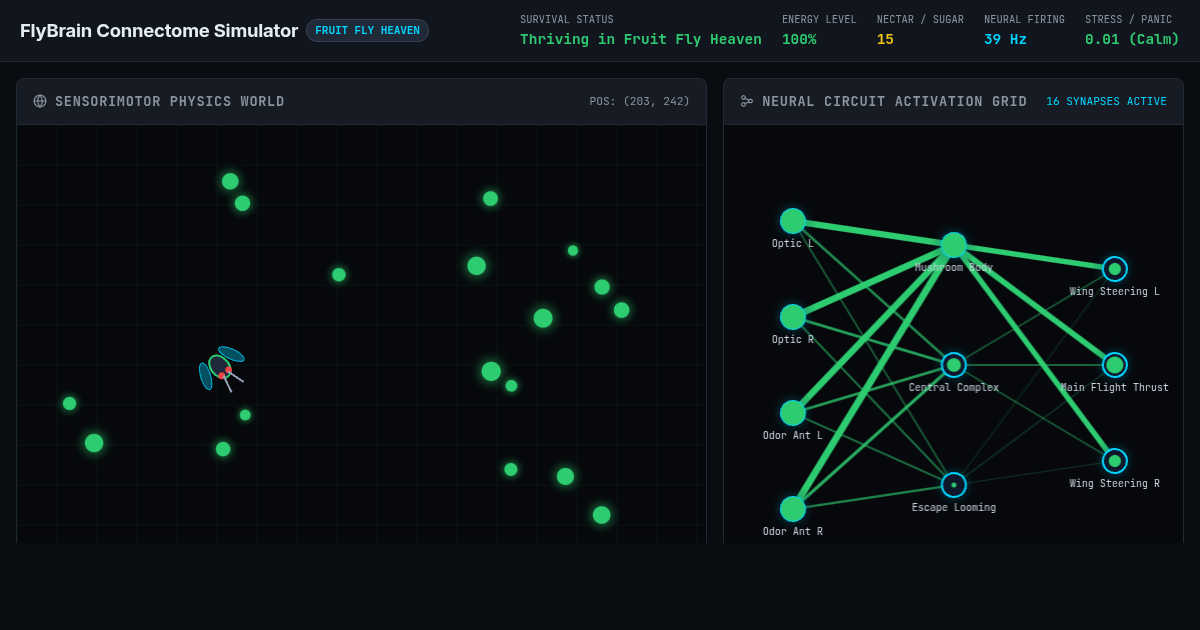 FlyBrain Video Game Simulator & Fruit Fly Heaven Sandbox preview