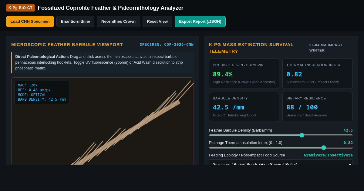 Fossilized Coprolite Feather & Paleornithology Analyzer preview