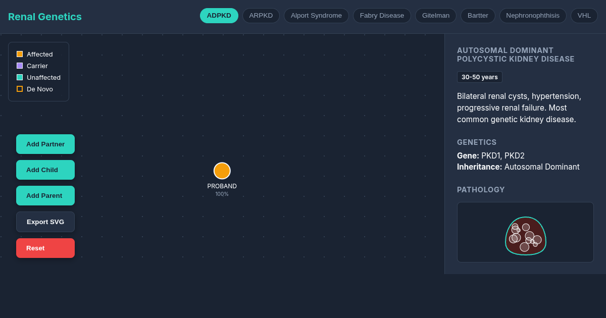 Genetic Renal Disease Explorer – Interactive Pedigree Builder preview