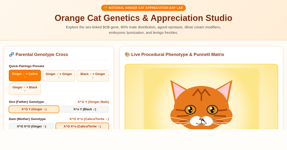 Orange Cat Genetics & Appreciation Studio preview