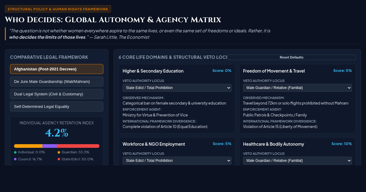 Who Decides: Global Autonomy & Agency Matrix preview
