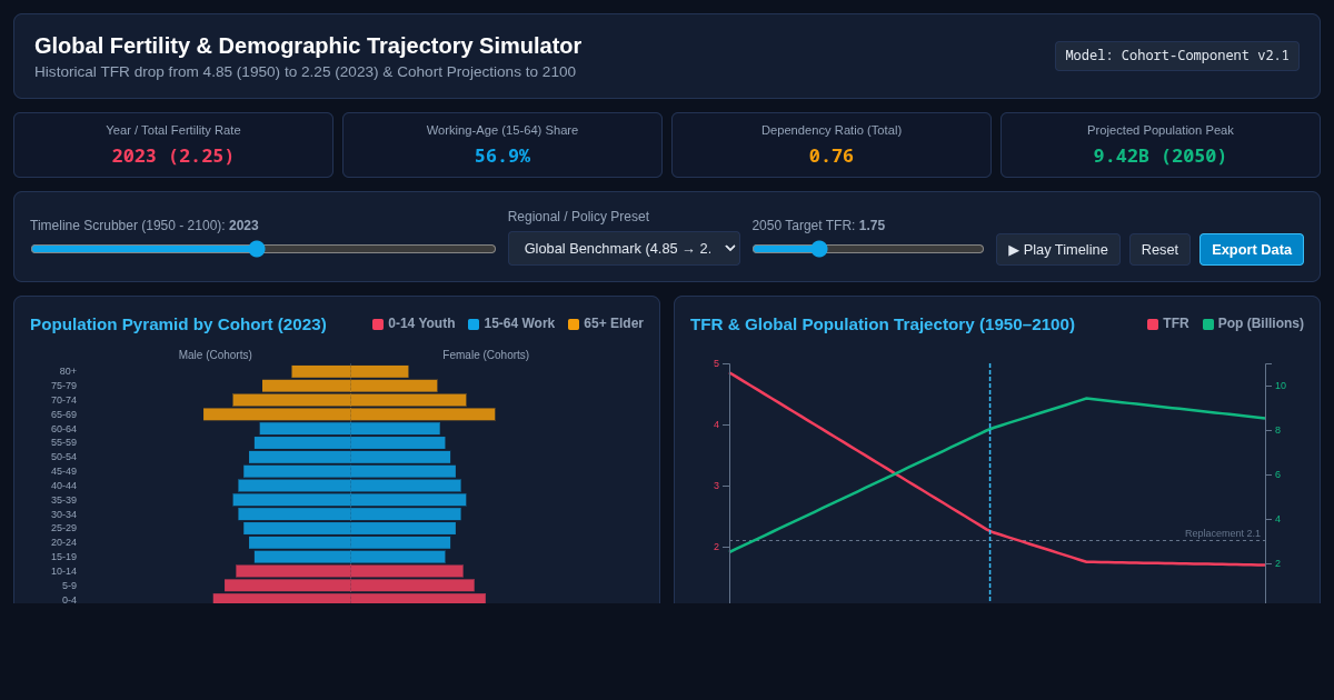 Global Fertility & Demographic Trajectory Simulator preview